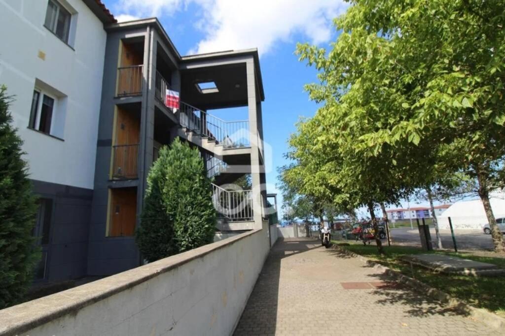 Hill & Sea House Daire Ribeira Grande Dış mekan fotoğraf