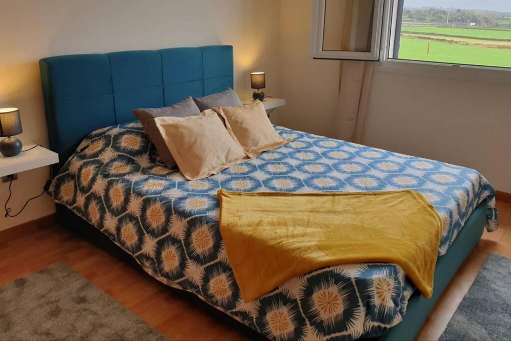 Hill & Sea House Daire Ribeira Grande Dış mekan fotoğraf